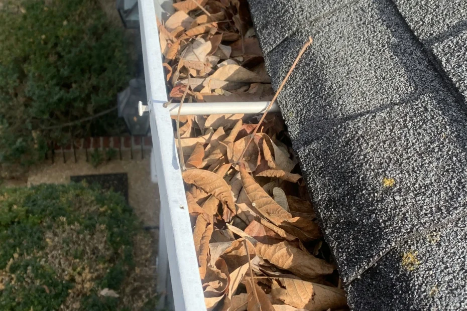 Gutter Cleaning Bokeelia FL